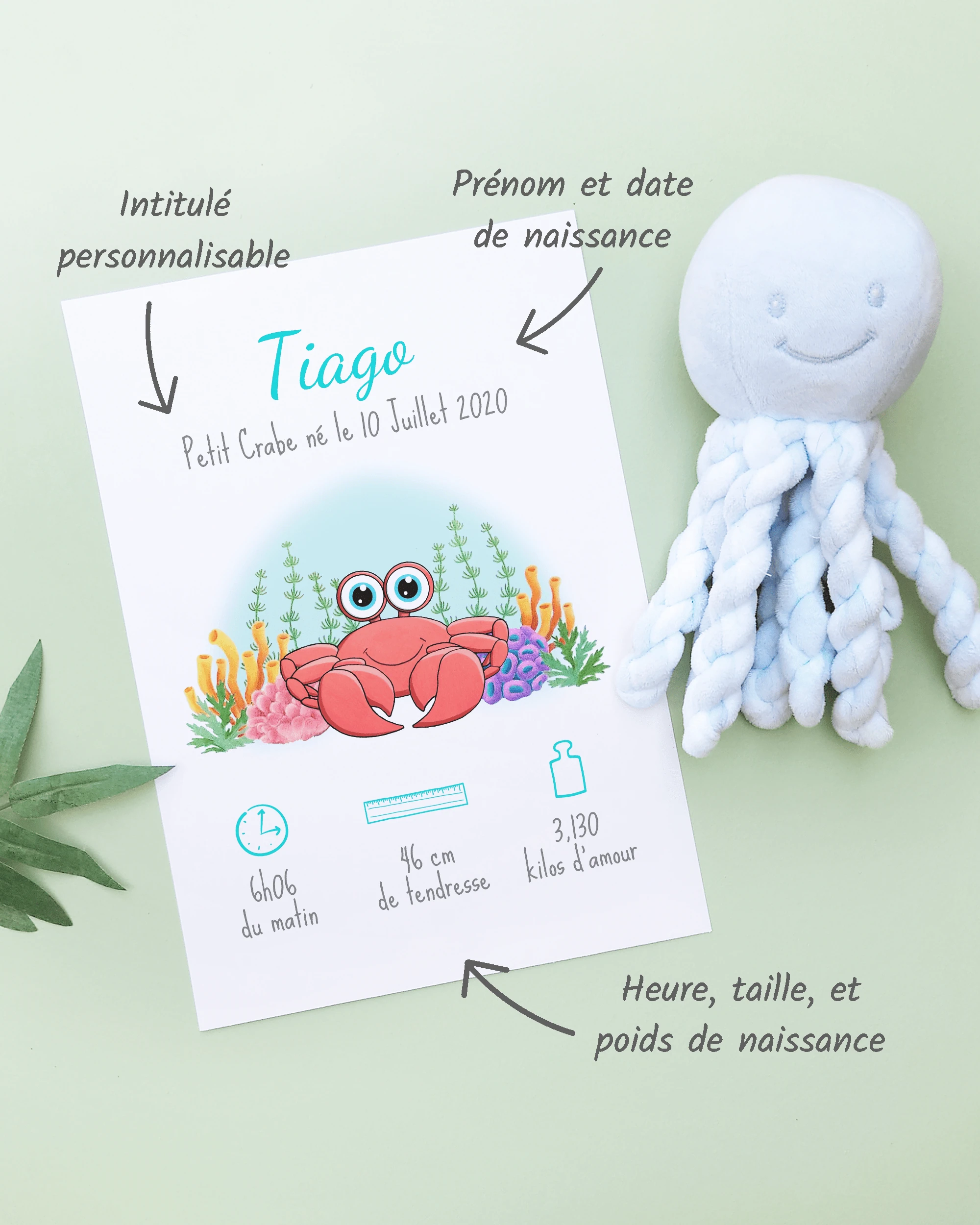 Personnalisation Affiche de naissance Petit crabe – Cadeau bébé – Fille et garçon Un cadre de naissance pour bébé à personnaliser avec un crabe dans les coraux