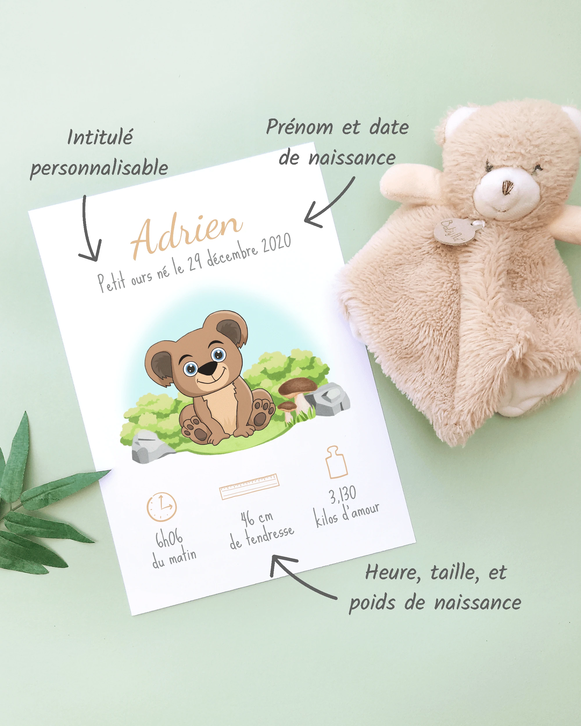 Personnalisation Affiche de naissance Petit ours brun – Cadeau bébé – Fille et garçon Un cadre de naissance pour bébé à personnaliser avec un ours brun dans la prairie