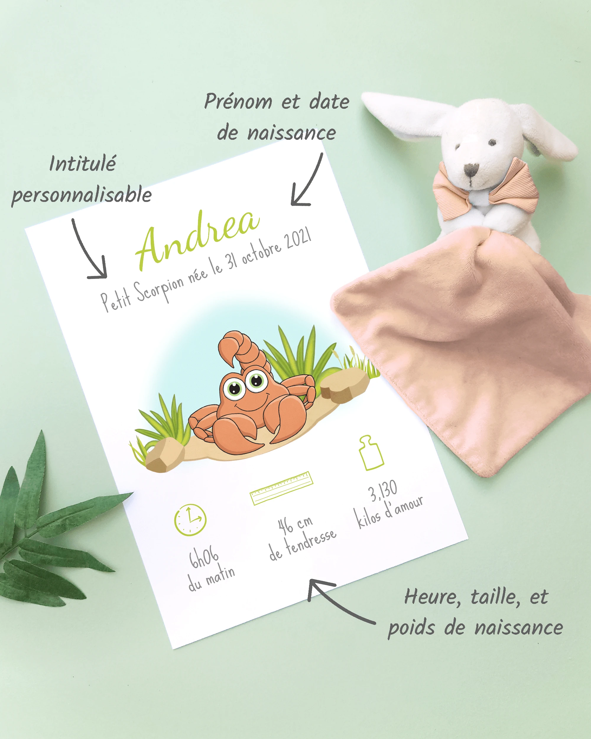 Personnalisation Affiche de naissance Petit scorpion – Cadeau bébé – Fille et garçon Un cadre de naissance pour bébé à personnaliser avec un scorpion dans le désert