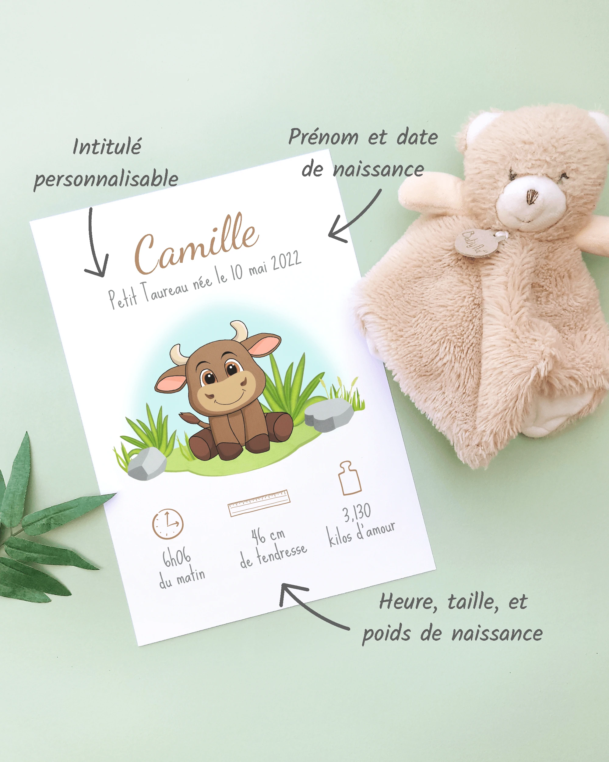 Personnalisation Affiche de naissance Petit taureau – Cadeau bébé – Fille et garçon Un cadre de naissance pour bébé à personnaliser avec un taureau dans la prairie