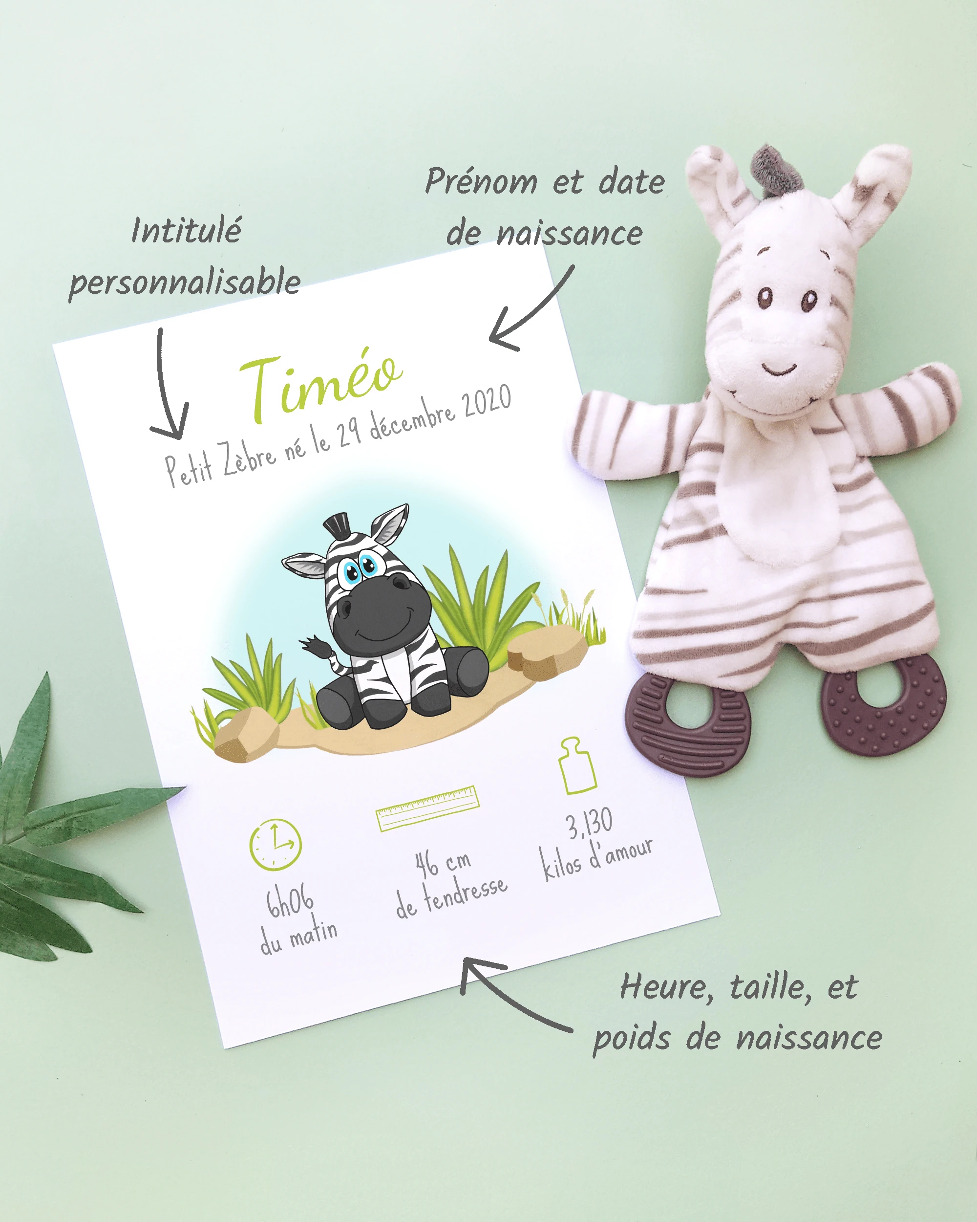 Personnalisation Affiche de naissance Petit zèbre – Cadeau bébé – Fille et garçon Un cadre de naissance pour bébé à personnaliser avec un zèbre dans la savane