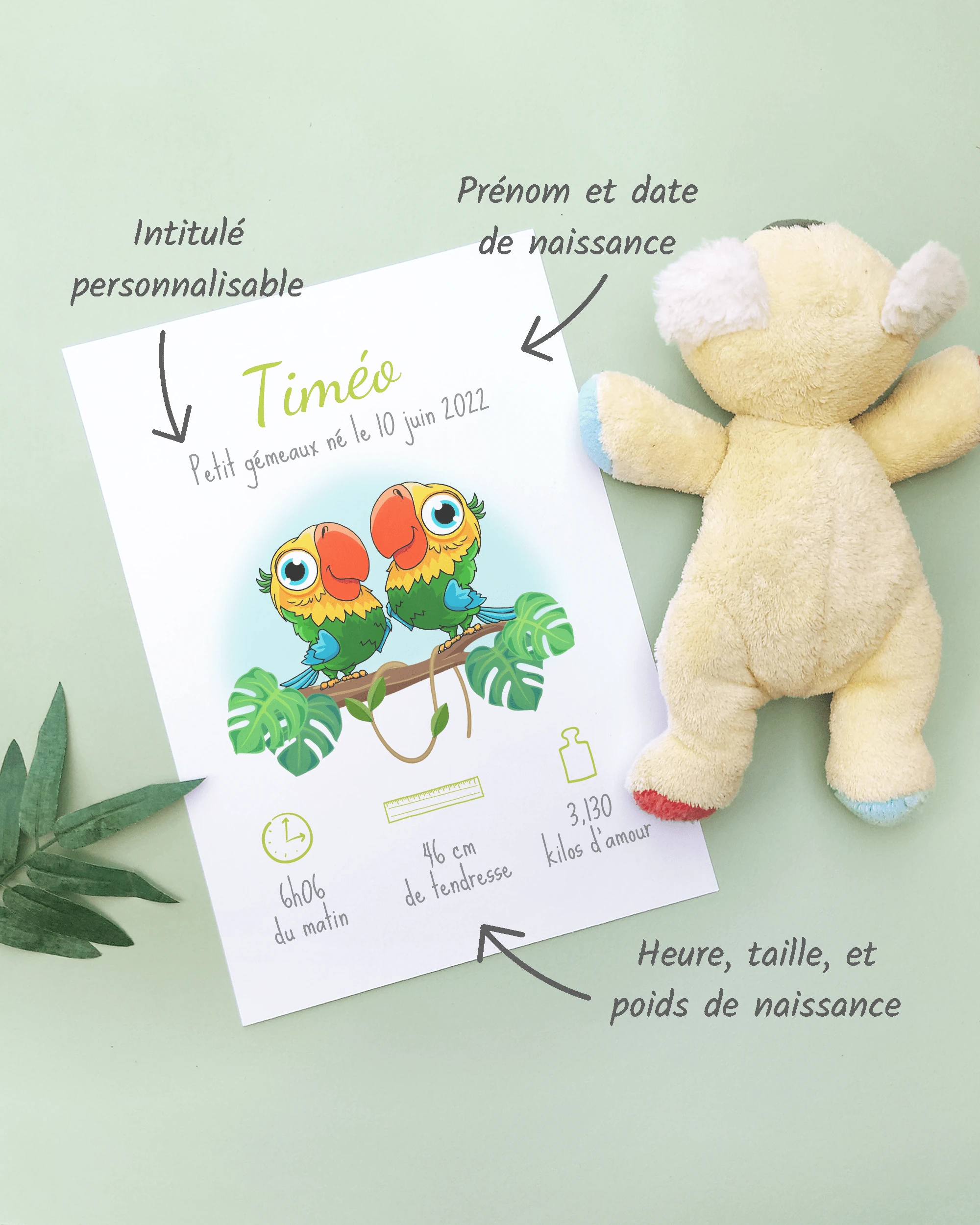 Personnalisation Affiche de naissance Petits oiseaux inséparables – Cadeau bébé – Fille et garçon Un cadre de naissance pour bébé à personnaliser avec des oiseaux inséparables dans la jungle
