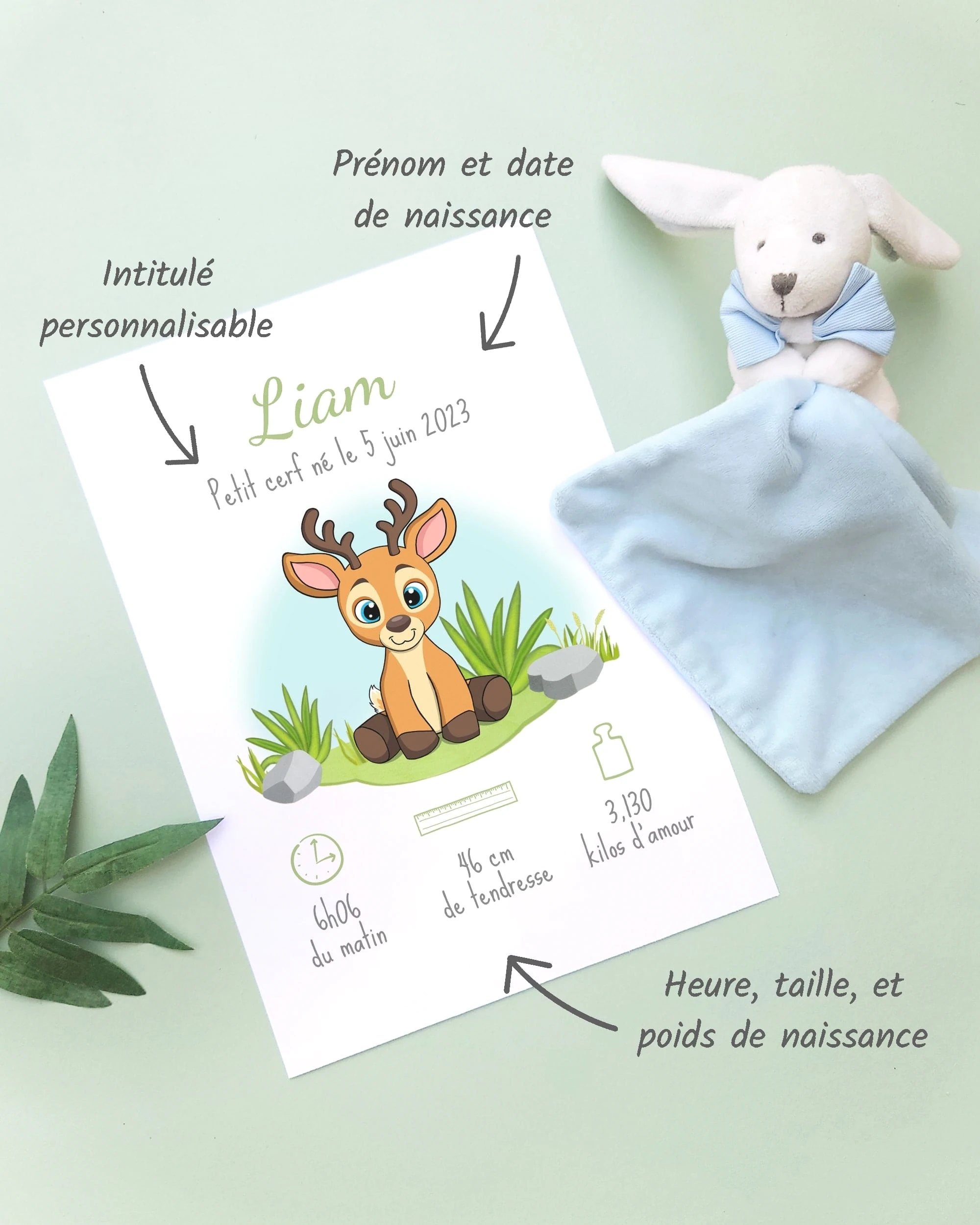 Personnalisation Affiche de naissance Petit cerf – Cadeau bébé – Fille et garçon Un cadre de naissance pour bébé à personnaliser avec un cerf dans la forêt