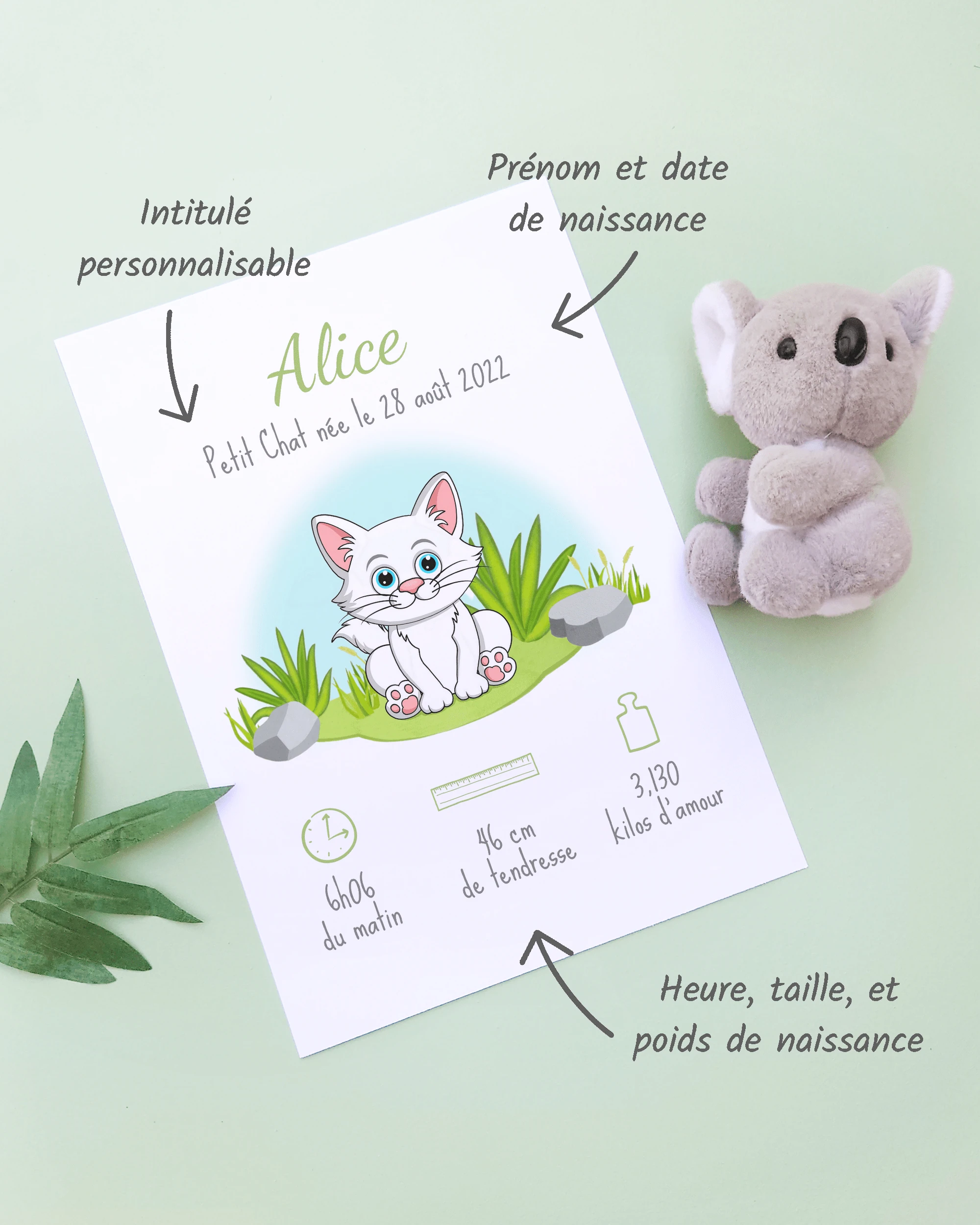 Personnalisation Affiche de naissance Petit chat blanc – Cadeau bébé – Fille et garçon Un cadre de naissance pour bébé à personnaliser avec un chat blanc dans la prairie