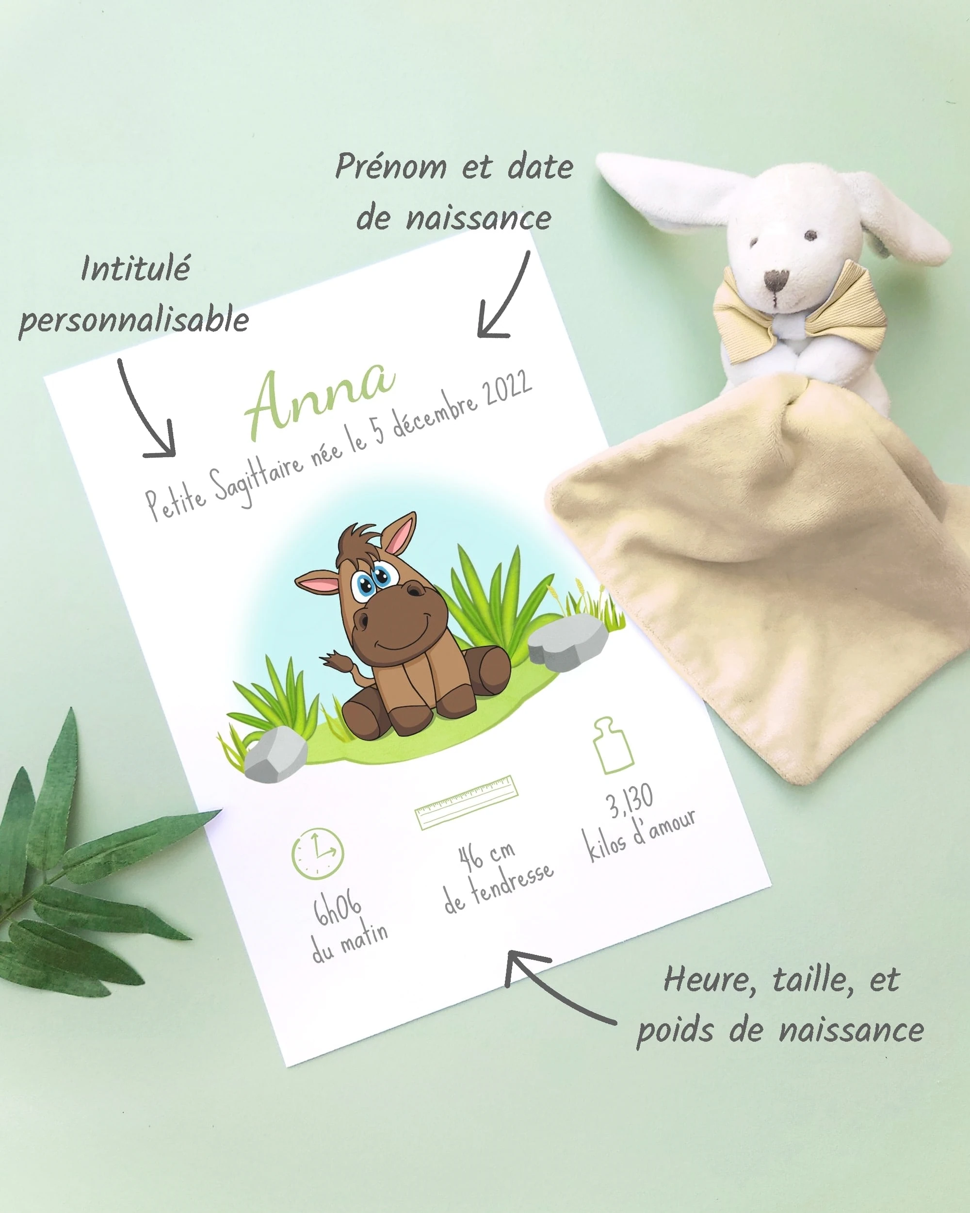 Personnalisation Affiche de naissance Petit cheval – Cadeau bébé – Fille et garçon Un cadre de naissance pour bébé à personnaliser avec un cheval dans la prairie