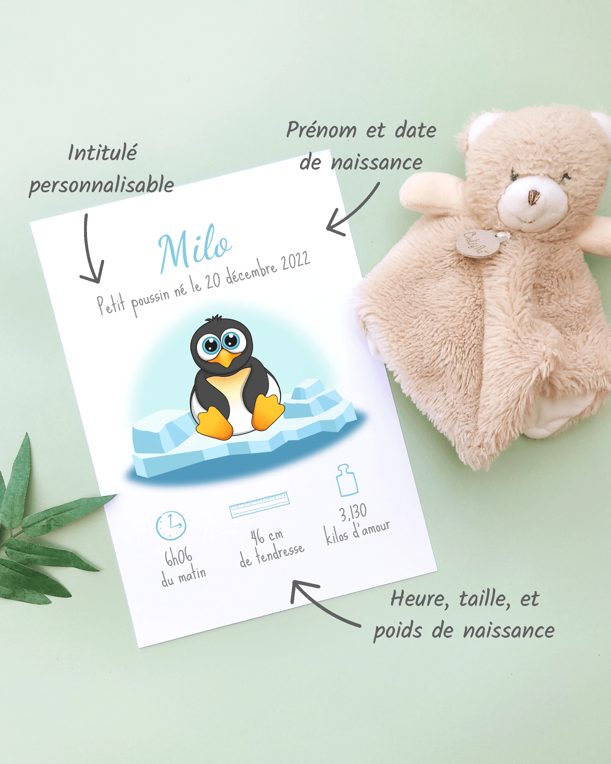 Personnalisation Affiche de naissance Petit pingouin – Cadeau bébé – Fille et garçon Un cadre de naissance pour bébé à personnaliser avec un pingouin sur la banquise