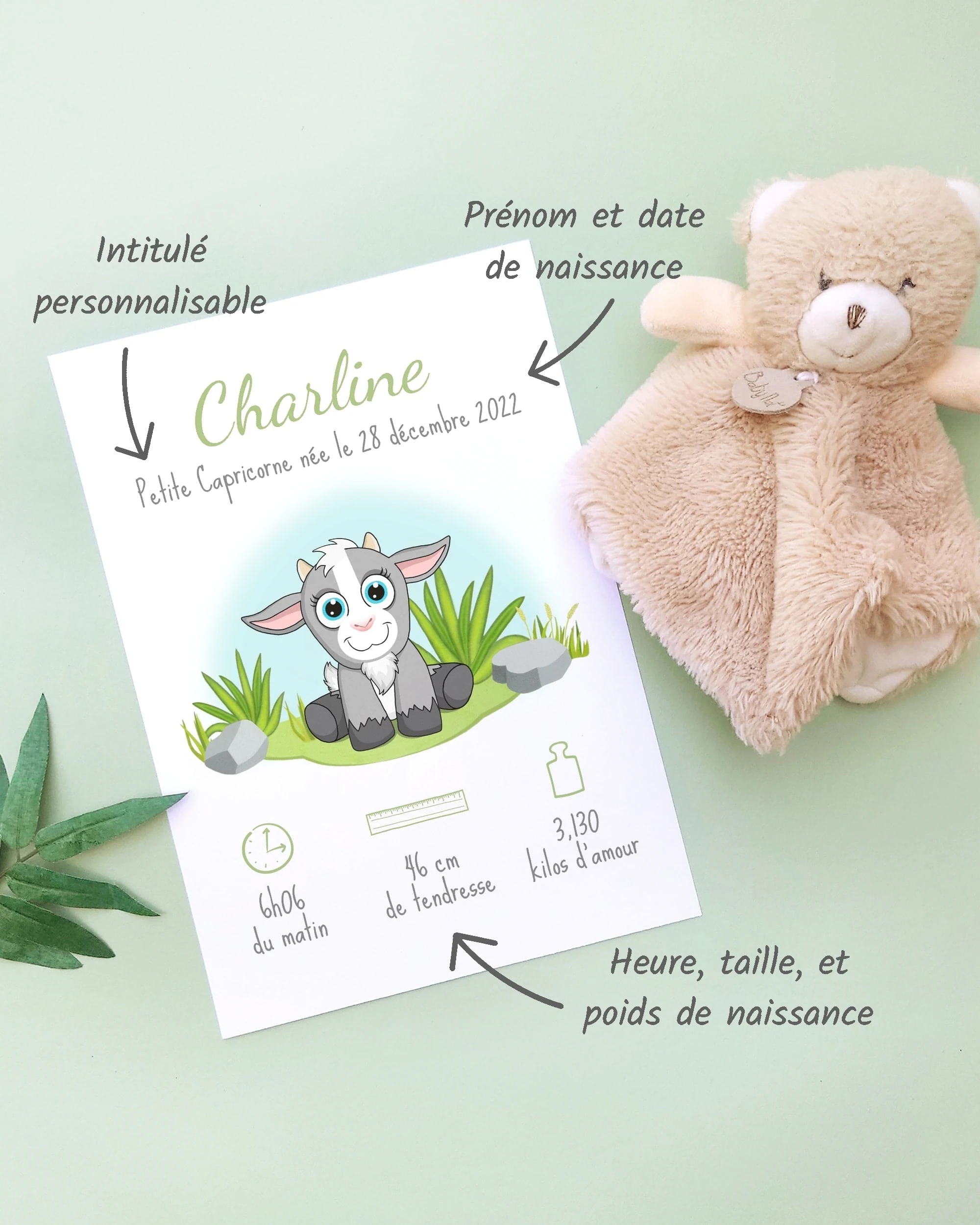 Personnalisation Affiche de naissance Petite chèvre – Cadeau bébé – Fille et garçon Un cadre de naissance pour bébé à personnaliser avec une chèvre dans la prairie
