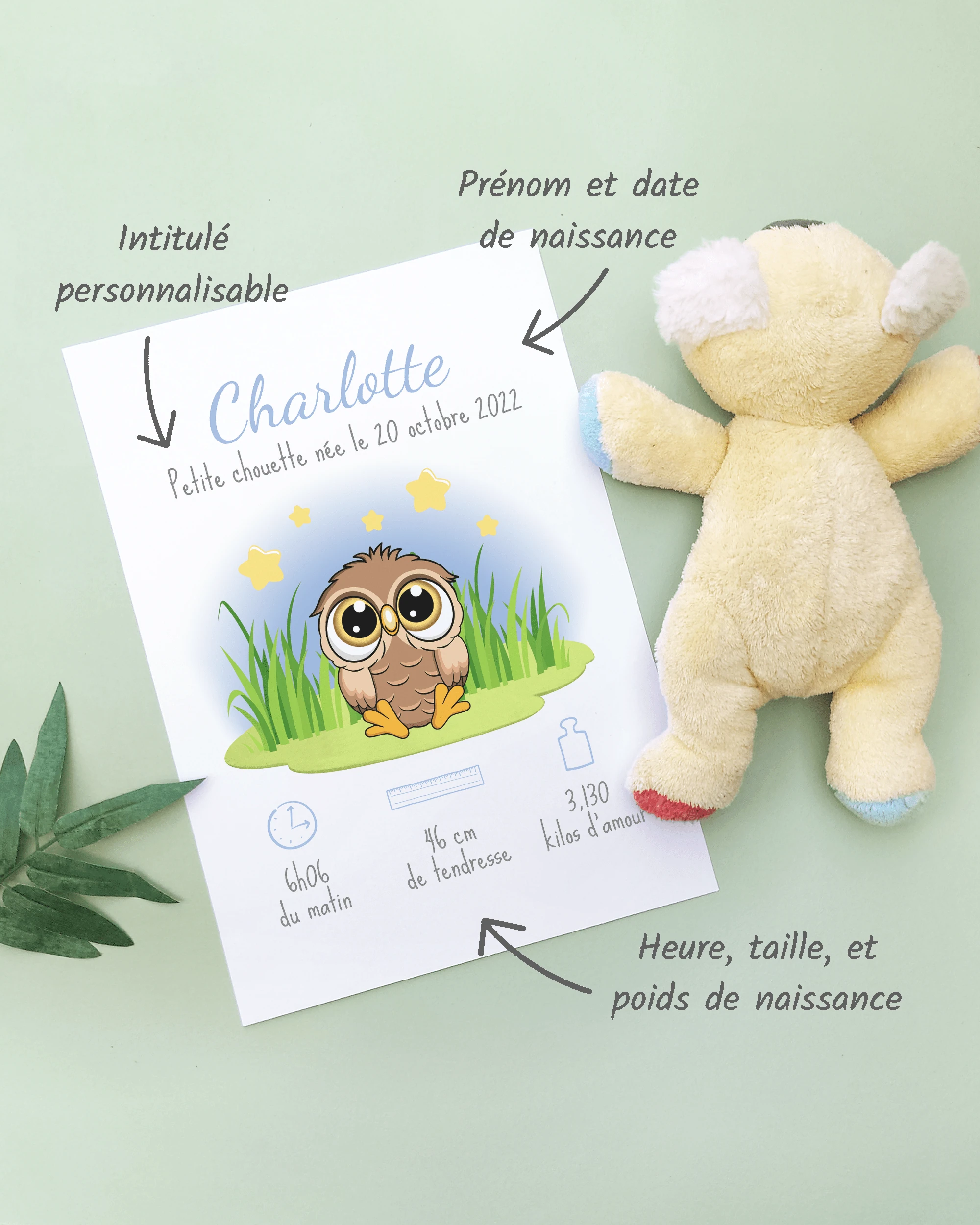Personnalisation Affiche de naissance Petite chouette – Cadeau bébé – Fille et garçon Un cadre de naissance pour bébé à personnaliser avec une chouette dans la nuit