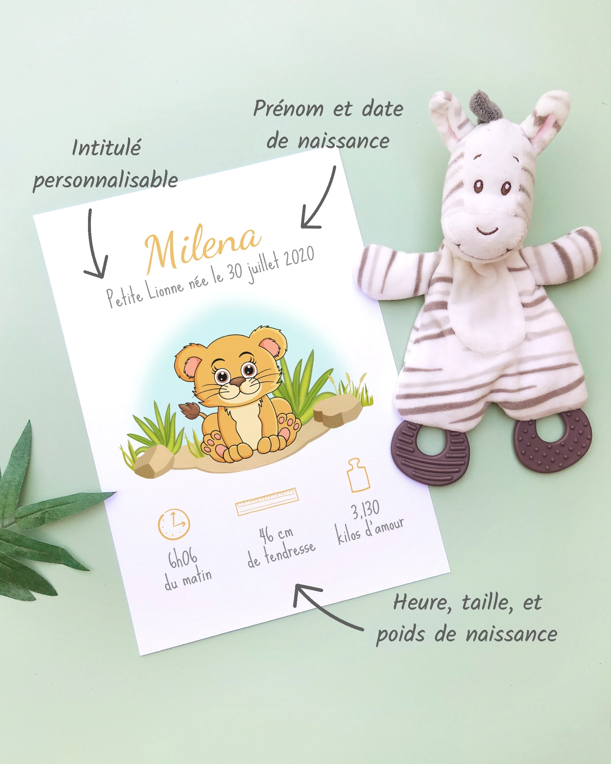 Personnalisation Affiche de naissance Petite lionne – Cadeau bébé – Fille Un cadre de naissance pour bébé à personnaliser avec une lionne dans la savane